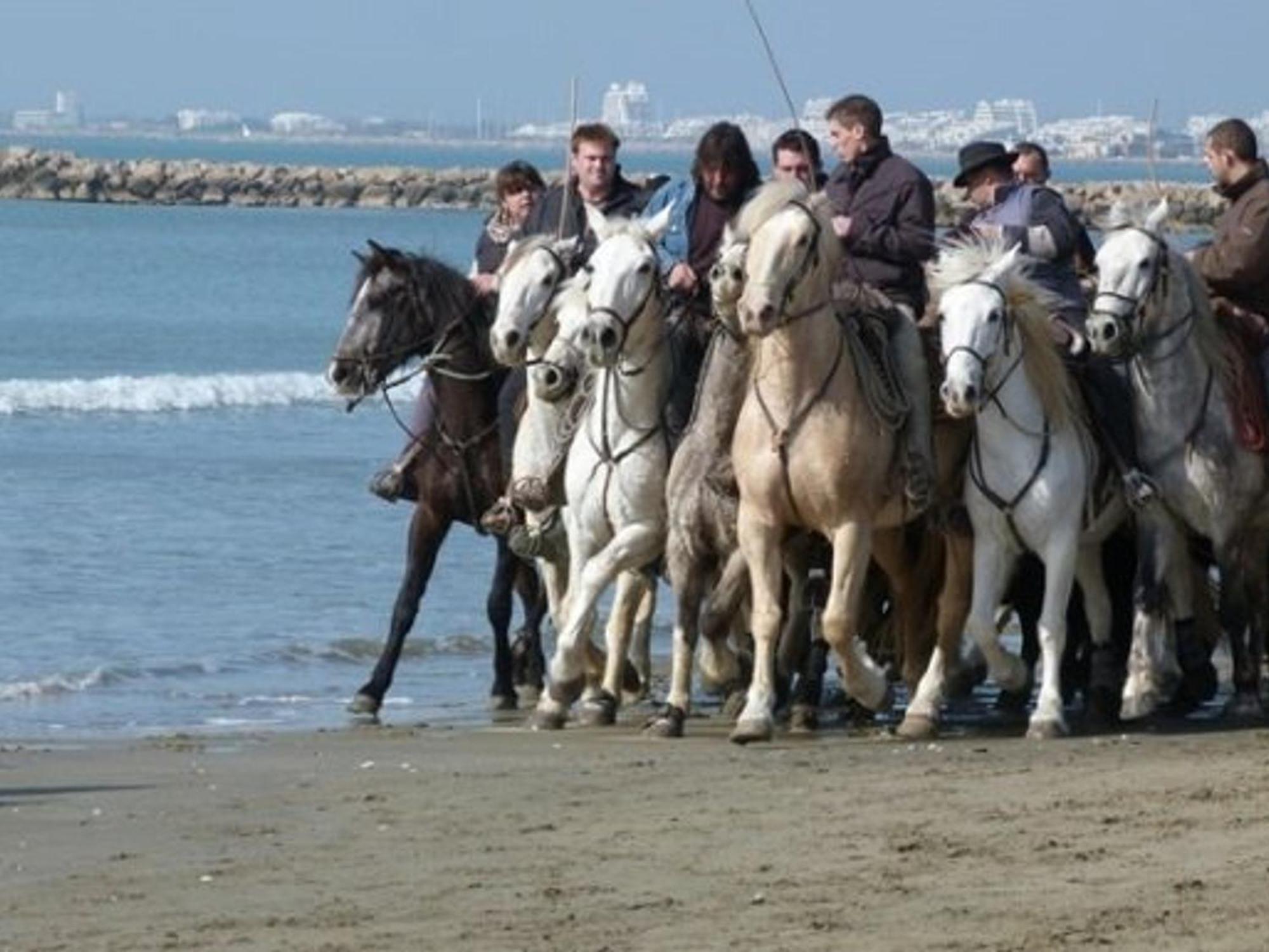 Studio Confortable 3/4 Pers, 100M Plage, Parking Prive Au Grau-Du-Roi - Fr-1-307-20 ル・グロー・デュ・ロワ エクステリア 写真